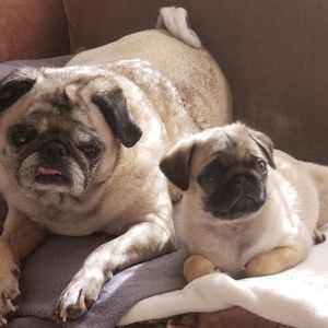 Meet your Posher, Deanna